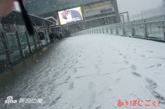 日本关东遭遇大雪天 圣地秋叶原变成大雪原